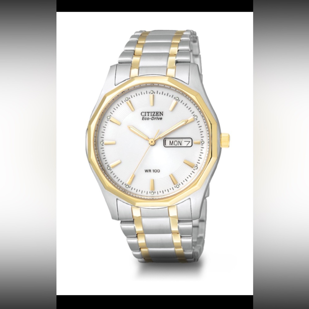 NWT Citizen Eco-Drive Men’s Watch